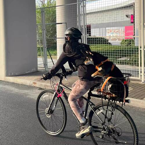 适用自行车后座架山地车快拆后货架可载人尾架原装配件大全