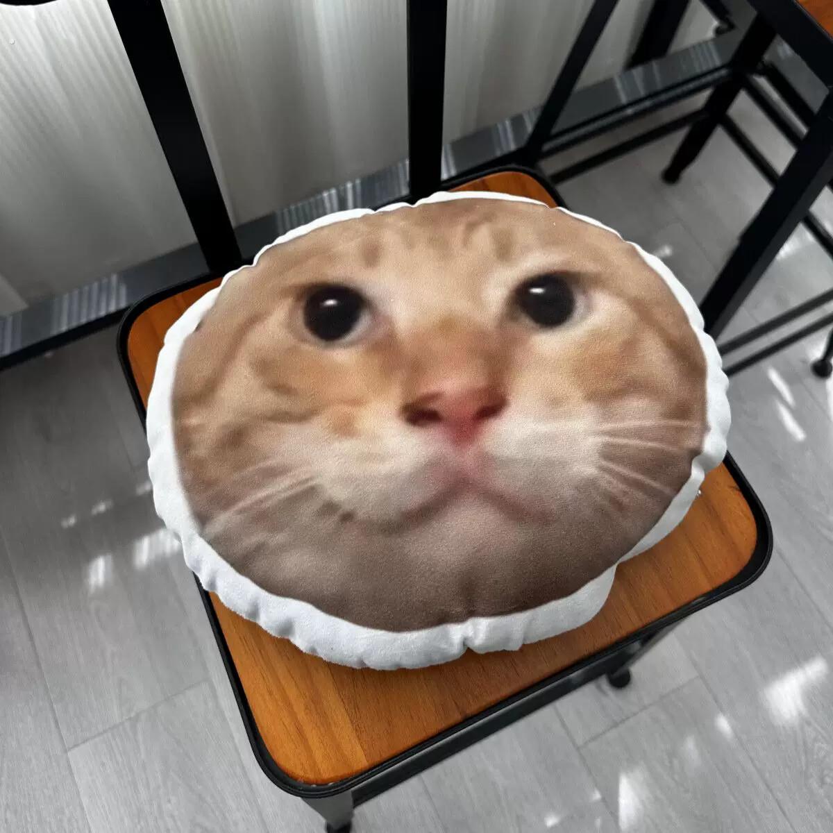 耄耋抱枕圆头馒头抱枕搞怪猫解压生日礼物送朋友闺蜜家居创意玩偶