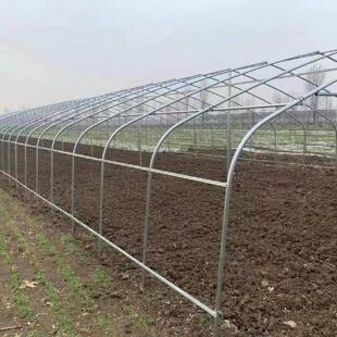 种菜大棚养殖大棚大棚骨架养鸡鸭鹅大棚大棚配件温室大棚