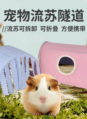 荷兰猪隧道龙猫松鼠窝刺猬兔子土拨鼠流苏通道帐篷房遮蔽帘躲避屋