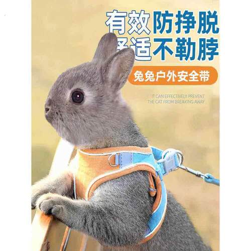 防止脱落的兔子牵引绳，兔子行走专用神器，背心式衣服伸缩滑绳