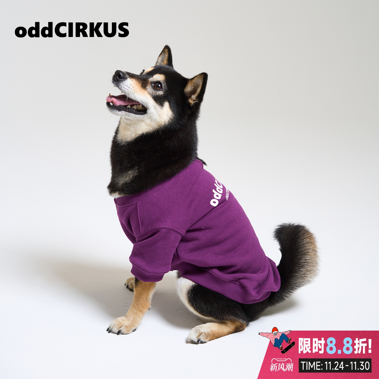 oddCIRKUS 日系街头宠物圆领套头卫衣 同成人紫色圆领卫亲子装