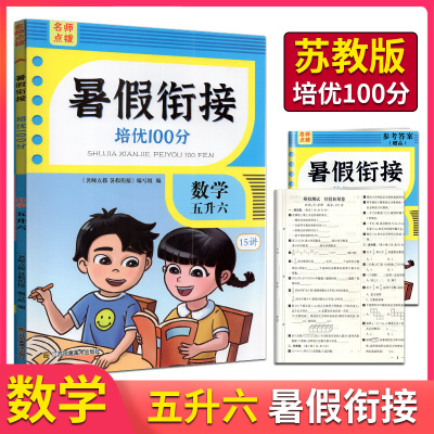 暑假衔接培优100分数学