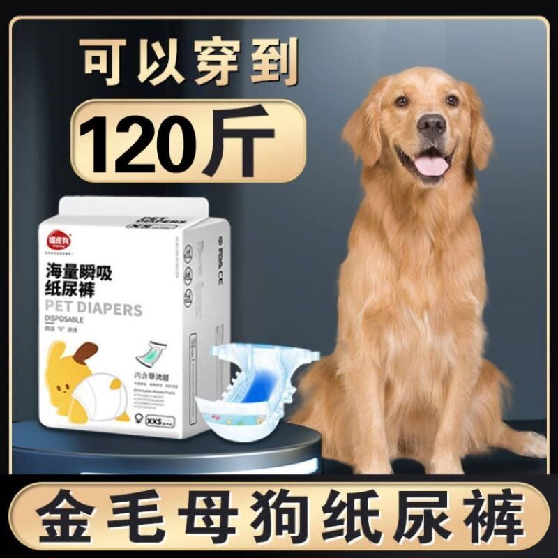 金毛母狗狗专用生理裤女狗大姨妈纸尿裤大狗尿不湿姨妈巾大型幼犬