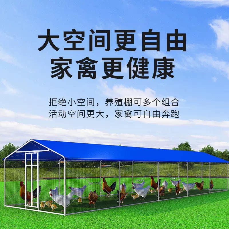 室外养鸡棚养鸡笼子户外家禽新型养殖笼遮雨防雨防晒鸡圈鸡窝搭建图片