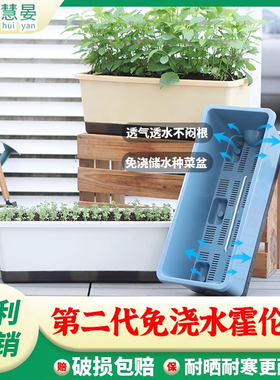 第二代加厚霍伦盆阳台长方形种菜盆家庭种菜神器长条草莓种植箱
