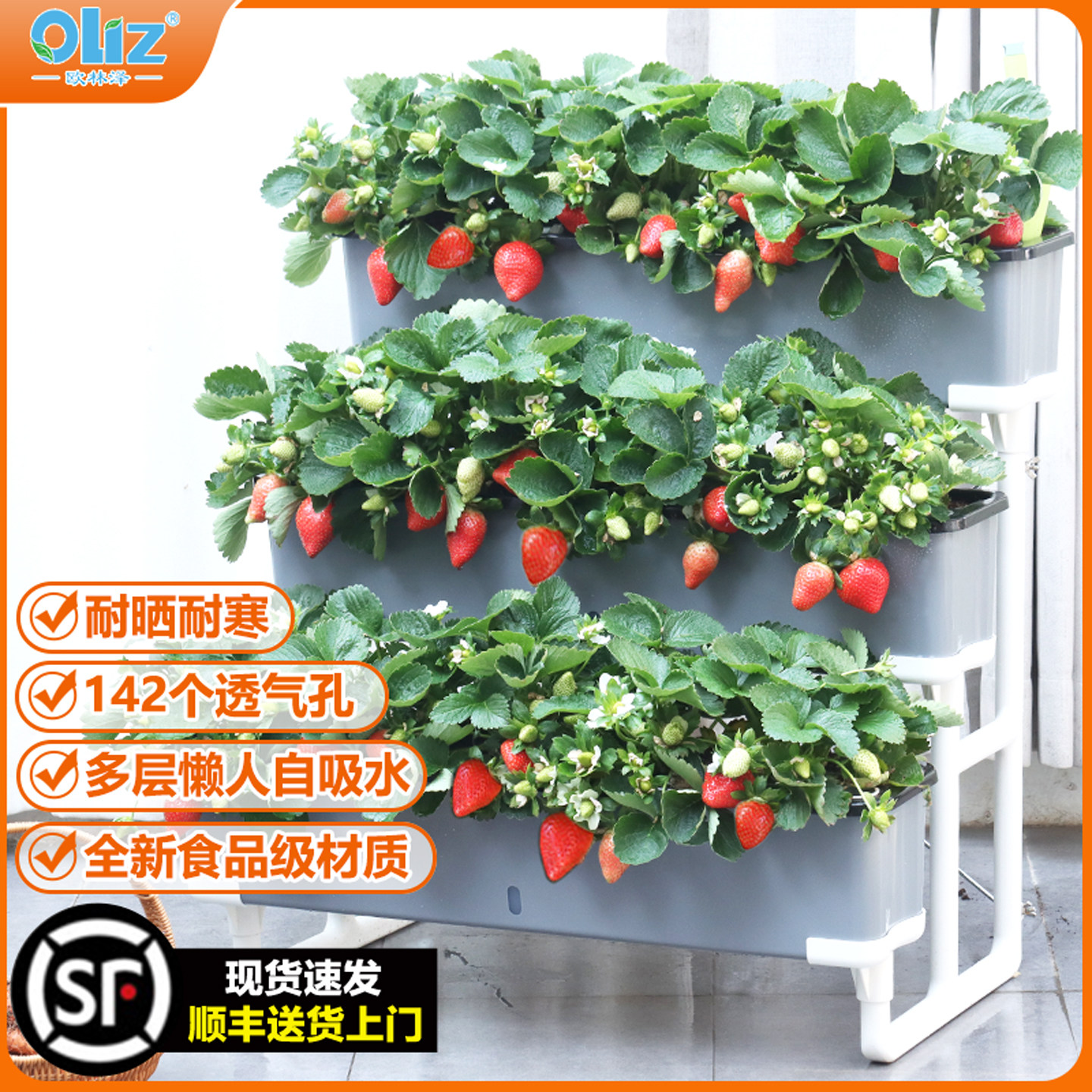 立体草莓阳台种菜盆多层长方形花盆加厚懒人花盆种植神器种菜盆,鲜花速递/花卉仿真/绿植园艺,花盆,淘宝优惠券,粉丝福利购,淘宝优惠卷