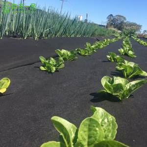 蔬菜园防草布除草布农用透气透水黑色防杂草地布新型生态盖草地膜