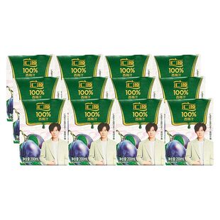 汇源100%果汁西梅汁200ml/盒纯果汁饮料6盒/12盒可选【 正常版】