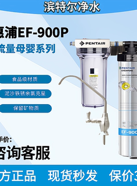 原装防伪爱惠浦直饮净水器超滤机
