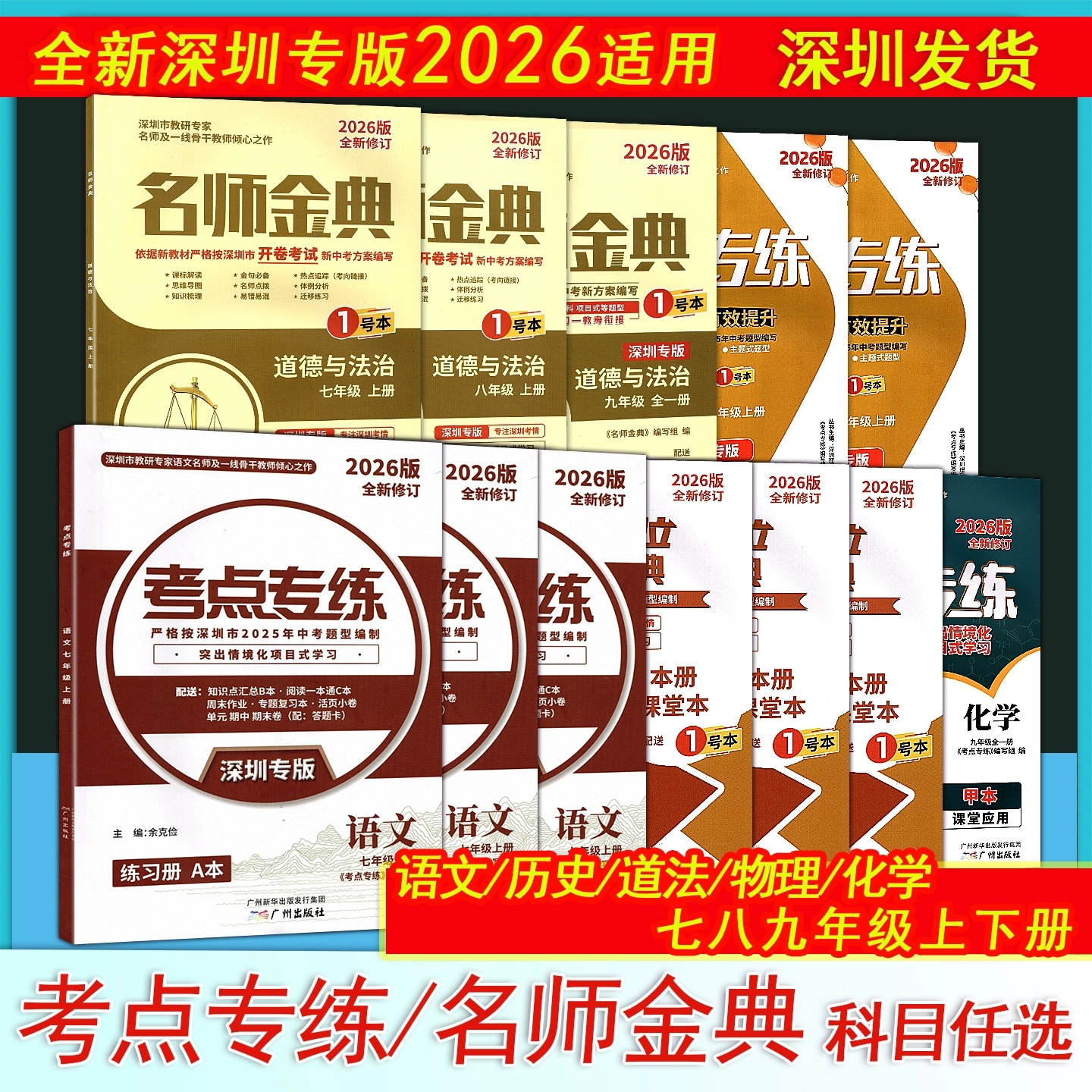 2026深圳专版考点专练名师金典