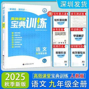 2025秋季新版高效课堂宝典训练九年级全一册语文人教版同步辅导练习册 语文初三9年级全册新课标新同步宝典训练