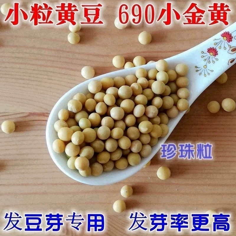 新品新货发豆芽黄豆生黄豆芽豆专用黄豆纳豆5斤东北农家自种