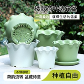 花边盆荷叶边塑料花盆波浪边矮款 花盆太阳花草花植物专用花盆绿萝