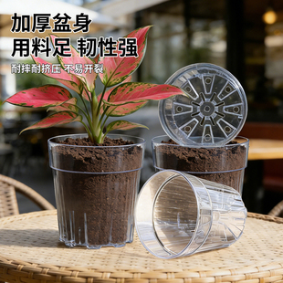 亚克力透明花盆塑料透明花盆蝴蝶兰专用热植观察根系透明花盆树脂
