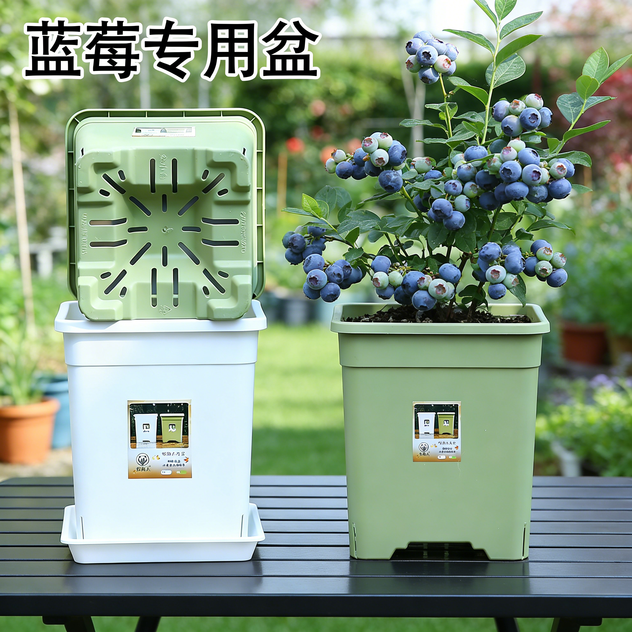 蓝莓专用种植盆加厚耐用无异味