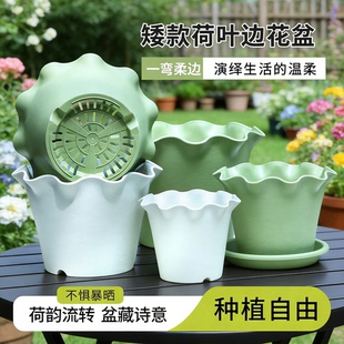 花边盆荷叶边塑料花盆波浪边矮款花盆太阳花草花植物专用花盆绿萝