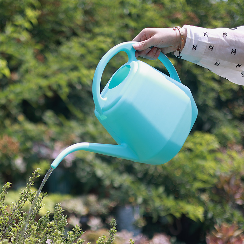 网红款长嘴浇水壶品质好货