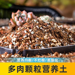 多肉土专用颗粒营养土植物叶插泥炭种植花土壤纯颗粒土铺面石特价