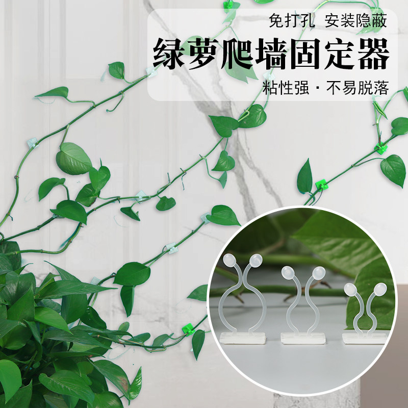 绿萝爬墙神器室内无痕卡扣藤蔓