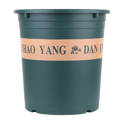 【大花盆】7加仑40CM种果树月季