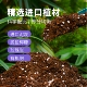 进口泥炭土通用型营养土养花专用椰糠种植土盆栽绿植种菜种植土