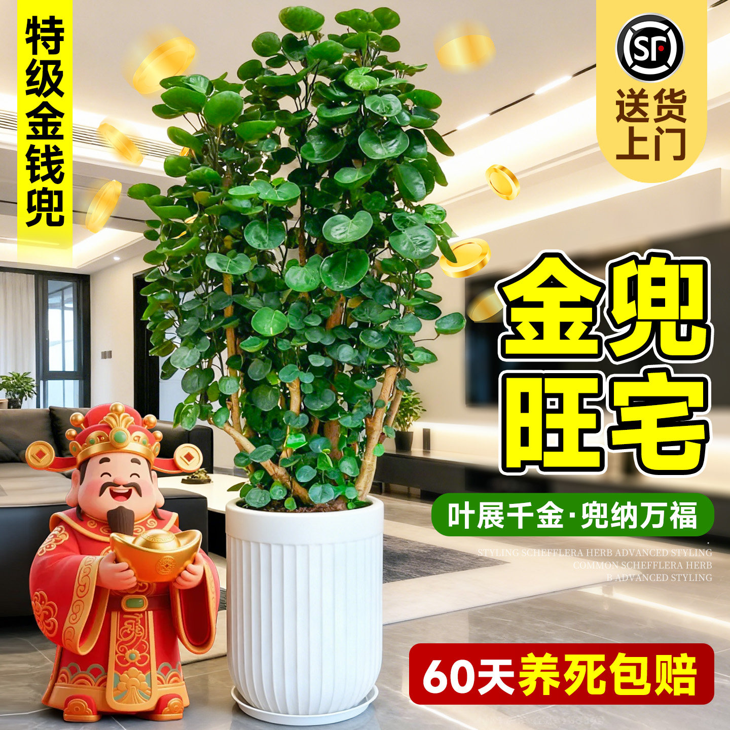 大型绿植客厅高级感金钱兜福禄桐盆栽金钱树发财树办公室内旺宅树