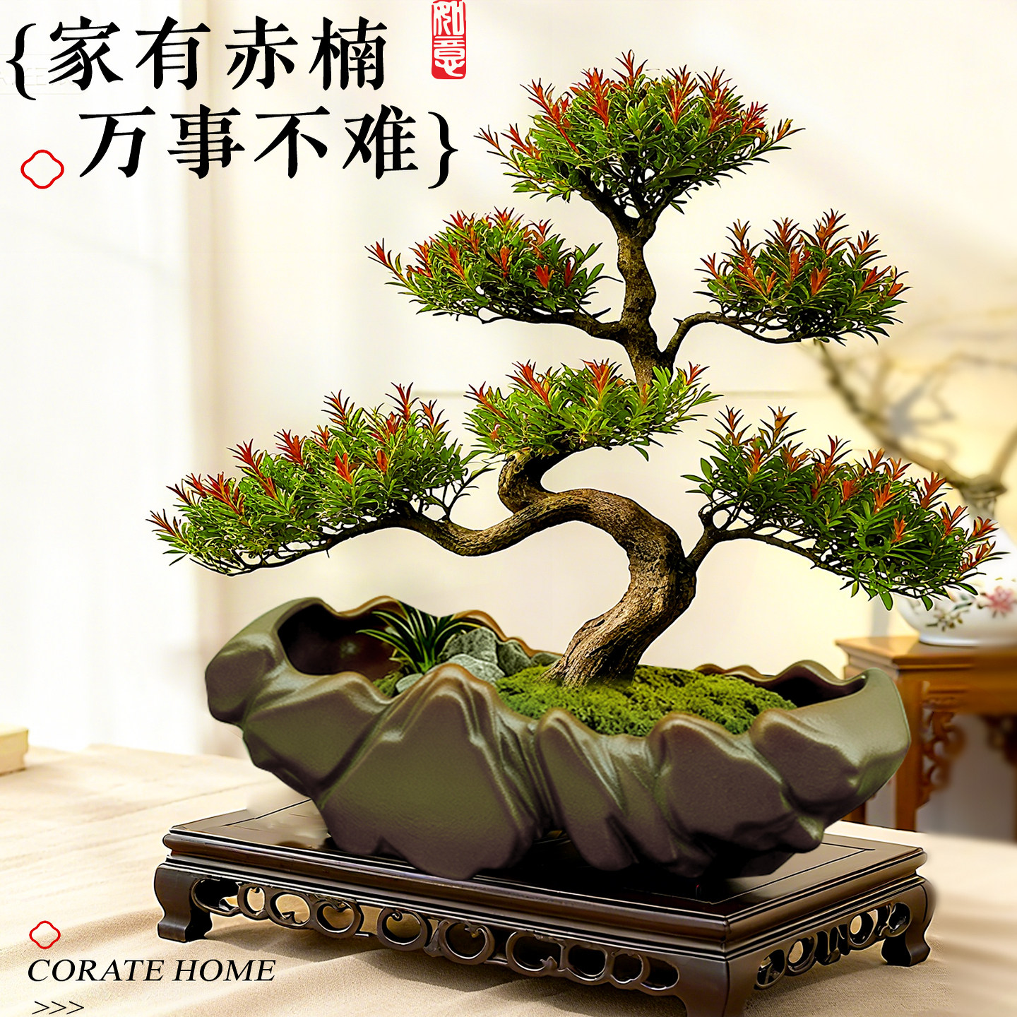 小叶赤楠金丝楠木盆景办公室书房送礼绿植花卉福禄桐玄关植物摆件