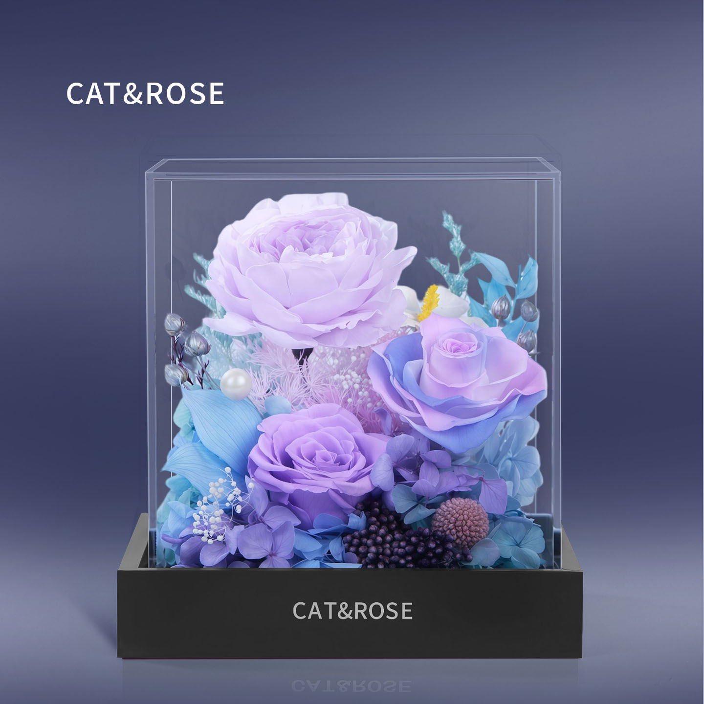 CATROSE永生花玫瑰真花礼永生花