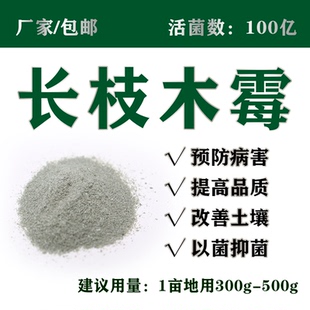 100亿长枝木霉菌粉腐熟生物菌剂有机肥料菌剂厂家直销1000g每袋