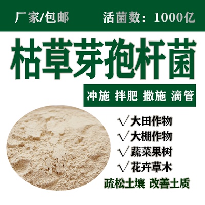 店长推荐1000亿枯草芽孢杆菌厂家