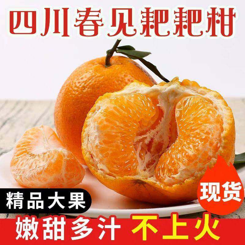 现摘正宗四川春见耙耙柑新鲜10斤当季水果丑柑橘子粑粑柑整箱特级,水产肉类/新鲜蔬果/熟食,桔子,淘宝优惠券,粉丝福利购,淘宝优惠卷