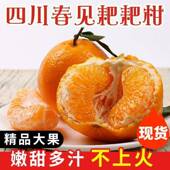 现摘正宗四川春见耙耙柑新鲜10斤当季 水果丑柑橘子粑粑柑整箱特级