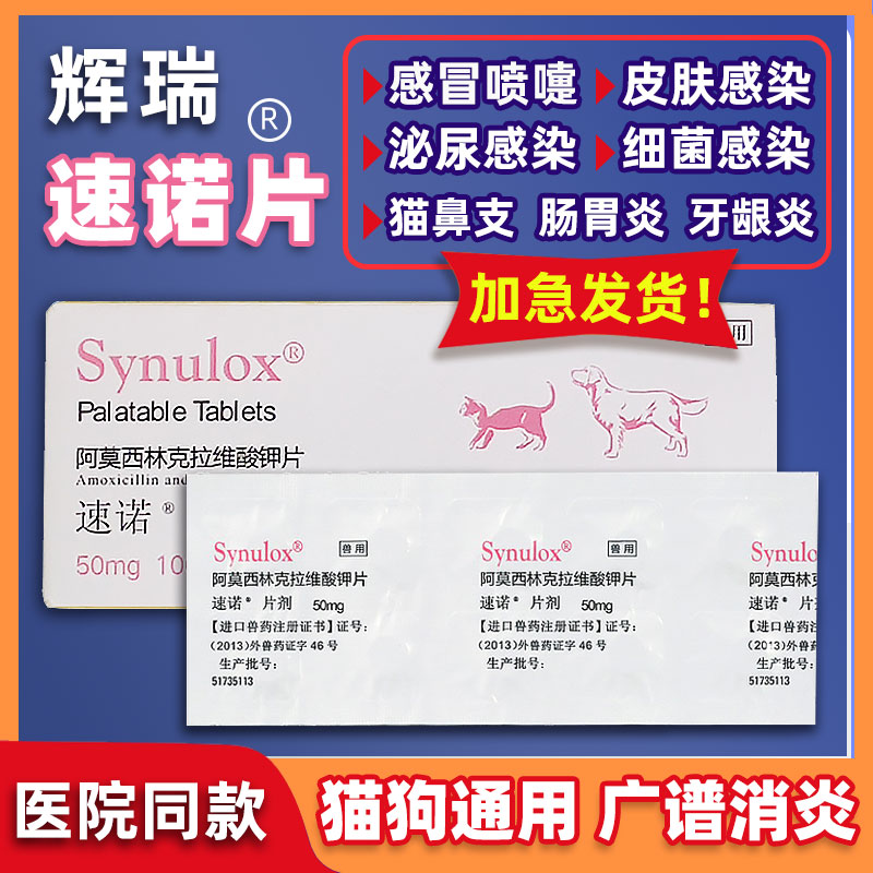 猫咪狗狗消炎感冒药细菌感染消炎