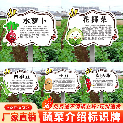 私家菜园菜地菜标识牌蔬菜品种展示牌介绍大全花草植物插地牌学校班级菜园私人花园地牌定制防水防晒送杆子
