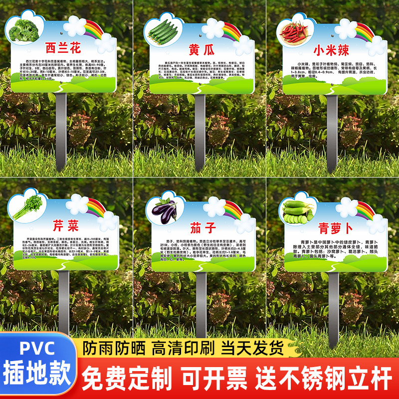 蔬菜简介标识牌私家菜园幼儿园班级学校户外插地牌展示牌蔬菜牌防水