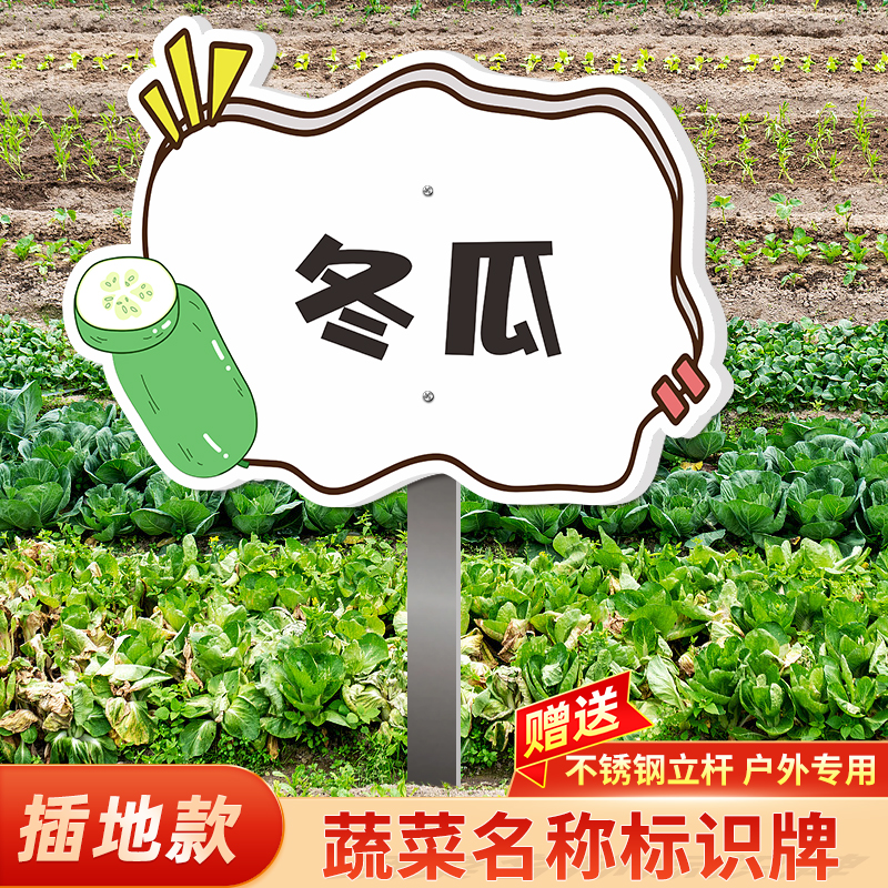 蔬菜名称标识牌私家菜园菜地蔬菜水果名称标志牌子种植区菜牌幼儿园班级牌信息介绍牌加厚PVC材质户外使用