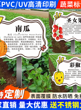户外私家菜园菜品菜地标识牌蔬菜水果土豆辣椒简介牌子插地牌幼儿园学校菜地名称标牌信息介绍牌定制防水防晒
