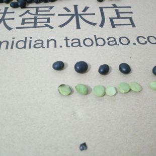 农家自产新货东北黑龙江五常杂粮绿芯心仁豆浆黑豆 10斤