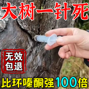 大树烂根药强力枯树王大树一针滴倒树倒烂根专用药粉除树剂一针灵