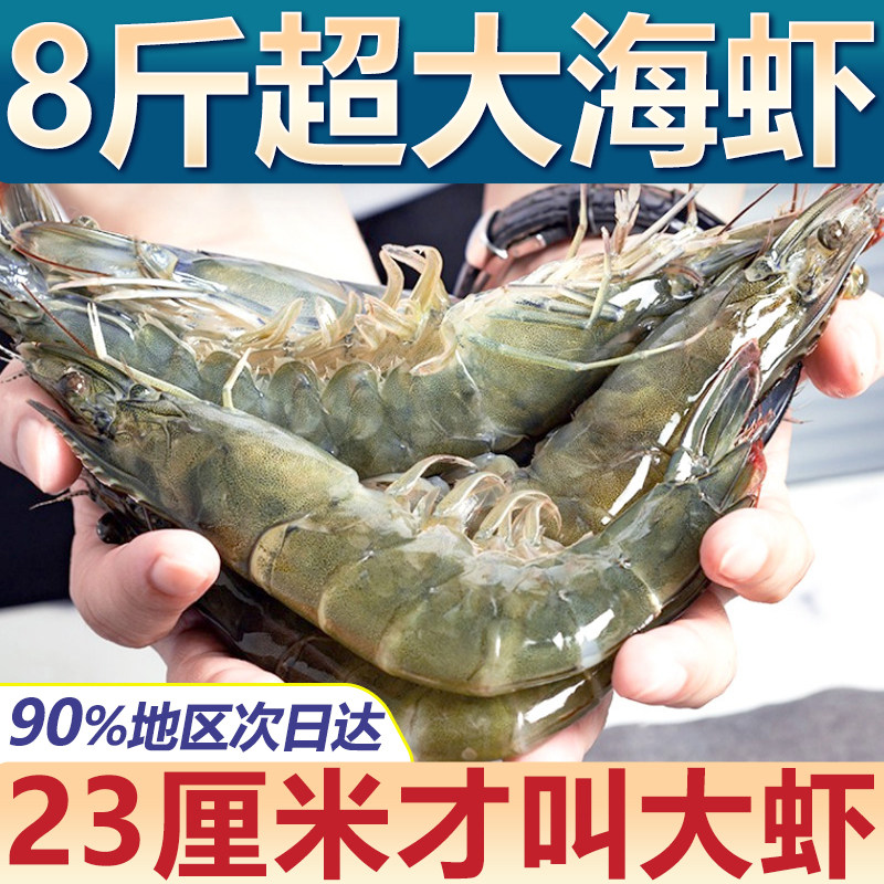 鲜活青岛特大青虾超大冷冻对虾盐冻大虾海虾虾类海鲜水产鲜活海虾