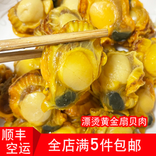 新鲜漂烫黄金扇贝肉特级超大蒜蓉粉丝蒸扇贝冷冻水产鲜活海鲜红贝