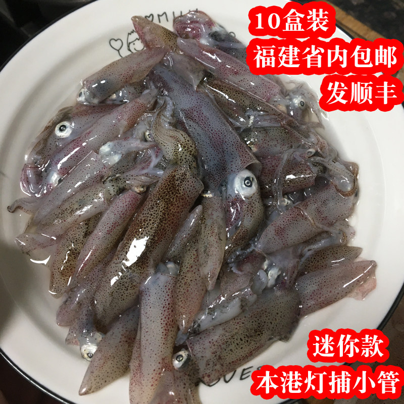 10盒装迷你小管福建本港灯捕小管鱿鱼一口管新鲜海鲜海兔子笔管鱼