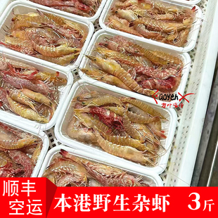 野生杂虾新鲜海鲜大虾刺身樱花虾速冻海虾东山岛海捕鸡冠虾活冻虾