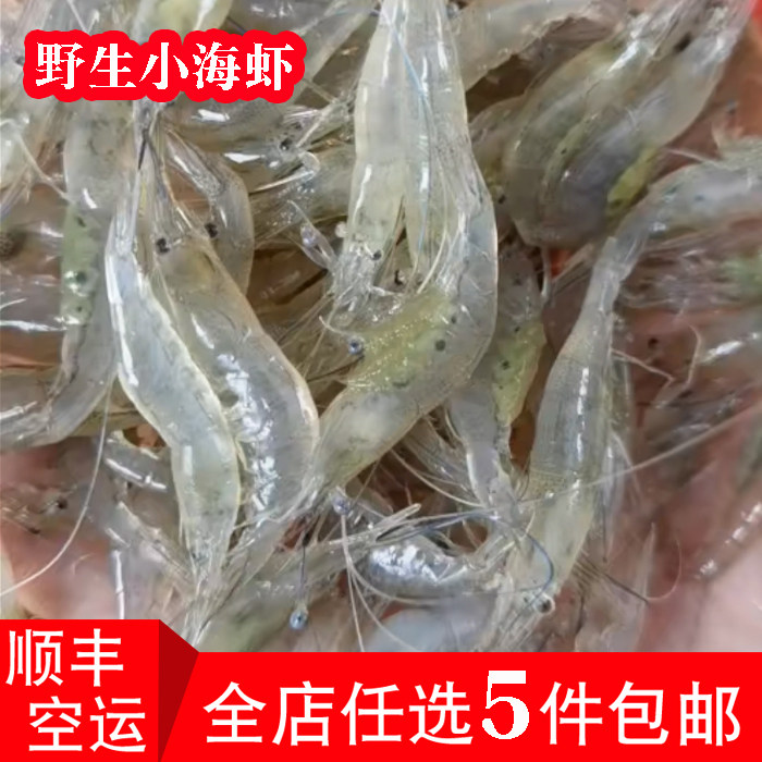 新鲜小海虾海捕活冻五须虾一斤