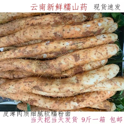 新鲜山药楚雄大姚农家肥种植淮山粉糯香甜