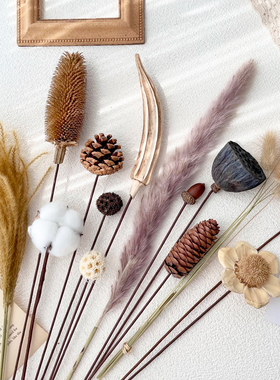 diy材料干花花束莲蓬芦苇棉花松果真花风干天然客厅装饰插花摆设