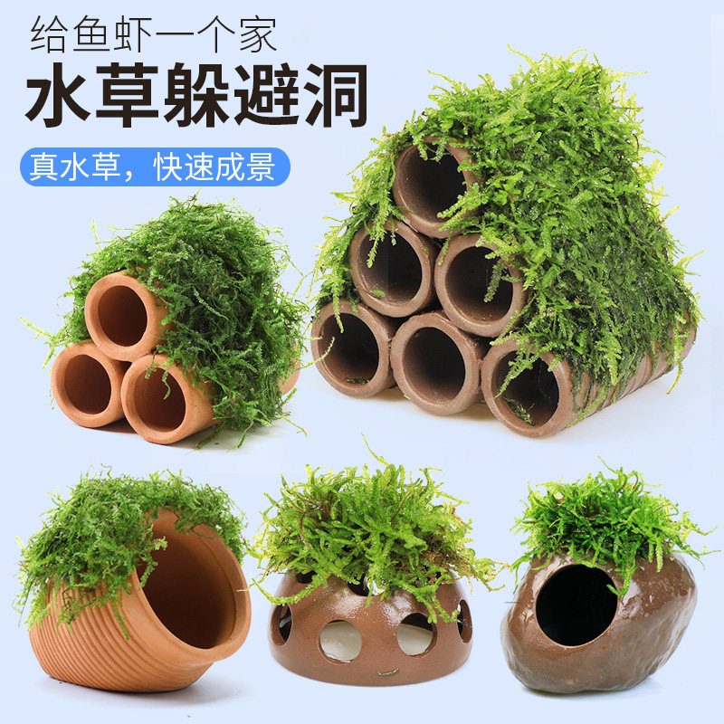 鱼虾躲避屋窝鱼缸造景水晶虾洞莫斯水草植物水族小鱼孵化陶罐定植