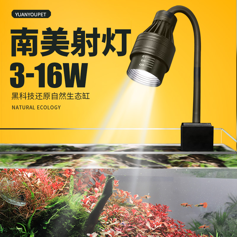 變色南美射燈魚缸燈變焦
