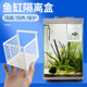 鱼苗隔离盒适配小米二代鱼缸幼鱼斗鱼盒产卵隔离盒小号孔雀鱼孵化
